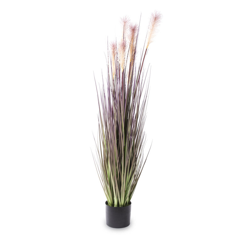 The Seasonal Aisle 120Cm Artificial Pampas Grass in Pot Wayfair.co.uk